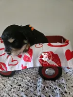 processed/b5084935-348e-4fc0-8b6e-55fffb57c100/listing/e45edd66-1fd1-4043-a878-5a8accc43db6/ec10b9b3-1986-43d7-98fb-040ec42bc96b