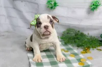 processed/b5226f32-34a1-48cf-9493-b6fd3a043b68/listing/13d9c230-4854-4c52-9ace-392c853ae3a3/9ff94afc-48e6-408c-b00c-c69a9db27f74