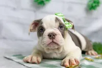 processed/b5226f32-34a1-48cf-9493-b6fd3a043b68/listing/13d9c230-4854-4c52-9ace-392c853ae3a3/bae0ffa0-ae0c-4002-97d6-9377d8f0c74a