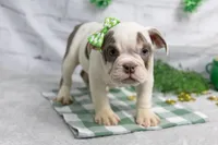 processed/b5226f32-34a1-48cf-9493-b6fd3a043b68/listing/13d9c230-4854-4c52-9ace-392c853ae3a3/c226ae99-7504-47d1-9756-96115318156e