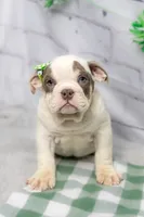 processed/b5226f32-34a1-48cf-9493-b6fd3a043b68/listing/13d9c230-4854-4c52-9ace-392c853ae3a3/ec322454-a96a-4812-89c8-facf7b011e3b