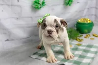 processed/b5226f32-34a1-48cf-9493-b6fd3a043b68/listing/13d9c230-4854-4c52-9ace-392c853ae3a3/ed079309-4993-4129-84e1-ef2d0e2b7dc5