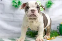 processed/b5226f32-34a1-48cf-9493-b6fd3a043b68/listing/13d9c230-4854-4c52-9ace-392c853ae3a3/ef22aff8-776f-45ae-bb71-4cb3ec4e7055