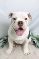 processed/b5226f32-34a1-48cf-9493-b6fd3a043b68/listing/20fd9287-f495-4315-9bde-a2bc6a979fd7/7dbea4ad-20a5-4590-be38-f8fb236a9be2