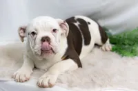 processed/b5226f32-34a1-48cf-9493-b6fd3a043b68/listing/20fd9287-f495-4315-9bde-a2bc6a979fd7/8ef2fa20-3044-47cb-a468-decc25f38a24