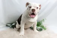 processed/b5226f32-34a1-48cf-9493-b6fd3a043b68/listing/20fd9287-f495-4315-9bde-a2bc6a979fd7/d7095b39-cc8d-4330-9b26-26f057e628bb