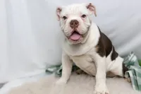 processed/b5226f32-34a1-48cf-9493-b6fd3a043b68/listing/20fd9287-f495-4315-9bde-a2bc6a979fd7/f2586c43-a288-4265-aad5-fb84befb4785