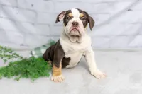 processed/b5226f32-34a1-48cf-9493-b6fd3a043b68/listing/3a5db296-4334-40cd-ae1e-9d10d41f8c2a/068e7688-8fd5-4e90-817e-f90f2d3439a2