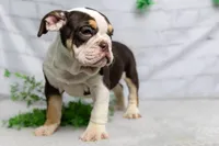 processed/b5226f32-34a1-48cf-9493-b6fd3a043b68/listing/3a5db296-4334-40cd-ae1e-9d10d41f8c2a/37c3fda8-f26f-4d85-a665-838085706aa6