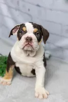 processed/b5226f32-34a1-48cf-9493-b6fd3a043b68/listing/3a5db296-4334-40cd-ae1e-9d10d41f8c2a/4f1a7e7d-51d0-4c2c-b39d-c69993b02e24