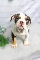 processed/b5226f32-34a1-48cf-9493-b6fd3a043b68/listing/3a5db296-4334-40cd-ae1e-9d10d41f8c2a/8a8af924-60f6-4e28-ae98-72326a9b4d83