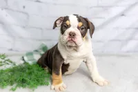 processed/b5226f32-34a1-48cf-9493-b6fd3a043b68/listing/3a5db296-4334-40cd-ae1e-9d10d41f8c2a/b588eeb0-6e79-4696-958c-bff189b117e4