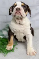 processed/b5226f32-34a1-48cf-9493-b6fd3a043b68/listing/3a5db296-4334-40cd-ae1e-9d10d41f8c2a/ca216bfa-d266-45e3-888b-805a86dd9f8c