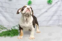 processed/b5226f32-34a1-48cf-9493-b6fd3a043b68/listing/3a5db296-4334-40cd-ae1e-9d10d41f8c2a/ccf45dea-2d65-4d66-a6d0-13dc535ee607