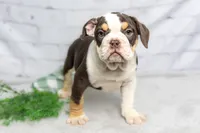 processed/b5226f32-34a1-48cf-9493-b6fd3a043b68/listing/3a5db296-4334-40cd-ae1e-9d10d41f8c2a/f0c1057b-919f-4ce3-a02e-7f850c7f7e05