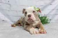 processed/b5226f32-34a1-48cf-9493-b6fd3a043b68/listing/55a9e5e0-8b3d-455c-9e4d-e4d3a7683042/06515b63-34a2-487b-bc89-4a6c1643d397