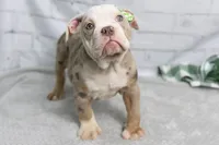 processed/b5226f32-34a1-48cf-9493-b6fd3a043b68/listing/55a9e5e0-8b3d-455c-9e4d-e4d3a7683042/9e793919-87da-4257-9e3b-46f97b619f35