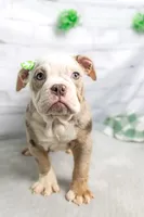 processed/b5226f32-34a1-48cf-9493-b6fd3a043b68/listing/55a9e5e0-8b3d-455c-9e4d-e4d3a7683042/ec84b76f-b4bd-4d3b-9bae-b821f09ab0b0