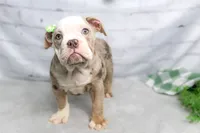 processed/b5226f32-34a1-48cf-9493-b6fd3a043b68/listing/55a9e5e0-8b3d-455c-9e4d-e4d3a7683042/f83081ac-abf8-4c59-989c-f5fc81544d4a