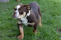 processed/b5226f32-34a1-48cf-9493-b6fd3a043b68/listing/a371e972-cbe3-46f3-a3c6-72b0bb1515d4/ac09db0f-a2d6-4179-a5ad-2ea3ec3b404e