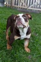 processed/b5226f32-34a1-48cf-9493-b6fd3a043b68/listing/a371e972-cbe3-46f3-a3c6-72b0bb1515d4/b2a221b6-aa8e-4036-b0a7-021935c735f6