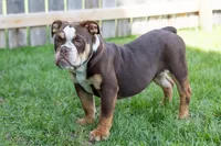 processed/b5226f32-34a1-48cf-9493-b6fd3a043b68/listing/a371e972-cbe3-46f3-a3c6-72b0bb1515d4/fe48f4b3-1022-4e62-b0ef-f61262b07230