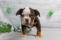 processed/b5226f32-34a1-48cf-9493-b6fd3a043b68/listing/b892e9f8-966a-4a23-a378-42a689ae77c3/1a90bf24-a4d6-4f87-bb97-4034898a9016