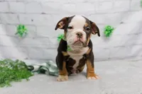 processed/b5226f32-34a1-48cf-9493-b6fd3a043b68/listing/b892e9f8-966a-4a23-a378-42a689ae77c3/3629718f-b7a8-4631-9251-6fbe2153f0a0