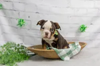 processed/b5226f32-34a1-48cf-9493-b6fd3a043b68/listing/b892e9f8-966a-4a23-a378-42a689ae77c3/6f85c6f8-4c98-4024-89ea-54c62c050758