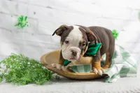 processed/b5226f32-34a1-48cf-9493-b6fd3a043b68/listing/b892e9f8-966a-4a23-a378-42a689ae77c3/6f8f3017-725c-49c7-855f-58e8e27deaa4