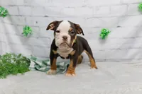 processed/b5226f32-34a1-48cf-9493-b6fd3a043b68/listing/b892e9f8-966a-4a23-a378-42a689ae77c3/8782ead4-8bb3-4aac-aea1-7346b1ddaf16