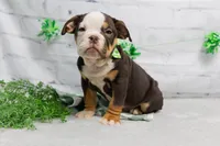 processed/b5226f32-34a1-48cf-9493-b6fd3a043b68/listing/b892e9f8-966a-4a23-a378-42a689ae77c3/d7ed7d50-597b-4c2b-94c3-dfffdb6b503a