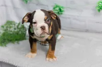 processed/b5226f32-34a1-48cf-9493-b6fd3a043b68/listing/b892e9f8-966a-4a23-a378-42a689ae77c3/de600131-083c-47b1-b4c5-594d234d3291