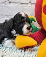 processed/b5363384-38d5-48f2-8b6f-9503981afe1f/listing/1330fc4a-0206-48dc-af64-63f9b7cfb1f6/0a78adf6-0f45-4728-832e-5320486ecc30