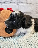 processed/b5363384-38d5-48f2-8b6f-9503981afe1f/listing/1330fc4a-0206-48dc-af64-63f9b7cfb1f6/5880f3af-e2cd-490b-9dfe-524d47194b1e