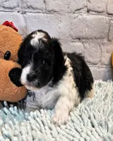 processed/b5363384-38d5-48f2-8b6f-9503981afe1f/listing/1330fc4a-0206-48dc-af64-63f9b7cfb1f6/615834ec-005d-4499-875a-44d81c449da7