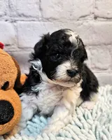 processed/b5363384-38d5-48f2-8b6f-9503981afe1f/listing/1330fc4a-0206-48dc-af64-63f9b7cfb1f6/82ada6e4-56f4-40be-82ee-6415e35a2473