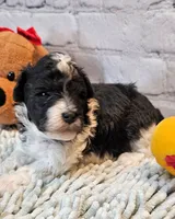 processed/b5363384-38d5-48f2-8b6f-9503981afe1f/listing/1330fc4a-0206-48dc-af64-63f9b7cfb1f6/a601e408-910a-4ff0-8426-4922d6e73f49