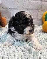 processed/b5363384-38d5-48f2-8b6f-9503981afe1f/listing/1330fc4a-0206-48dc-af64-63f9b7cfb1f6/ece5d9cd-f110-454e-b469-ea9459a5560f