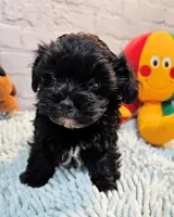 processed/b5363384-38d5-48f2-8b6f-9503981afe1f/listing/27832681-d67a-45fb-84e1-a3a5698d4da8/0eb21a88-e886-4de4-984a-f42b36aadcf6