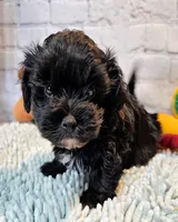 processed/b5363384-38d5-48f2-8b6f-9503981afe1f/listing/27832681-d67a-45fb-84e1-a3a5698d4da8/47aa0373-4e5f-4902-bde9-3163fc489739