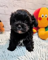 processed/b5363384-38d5-48f2-8b6f-9503981afe1f/listing/27832681-d67a-45fb-84e1-a3a5698d4da8/b6029dea-5f06-40ab-959a-d5fac2d41b3d