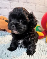 processed/b5363384-38d5-48f2-8b6f-9503981afe1f/listing/27832681-d67a-45fb-84e1-a3a5698d4da8/bc72b9c7-b6c6-4c3f-8b84-97dadc1674f8