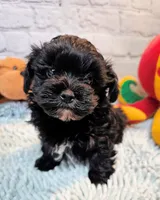 processed/b5363384-38d5-48f2-8b6f-9503981afe1f/listing/27832681-d67a-45fb-84e1-a3a5698d4da8/fad83006-2f6f-433b-b8d4-e0c037c71b35