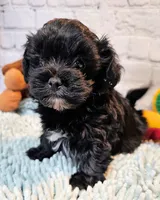 processed/b5363384-38d5-48f2-8b6f-9503981afe1f/listing/27832681-d67a-45fb-84e1-a3a5698d4da8/ffbf7950-a3bf-4a34-adcf-d747b2e03867