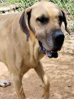 processed/b5363384-38d5-48f2-8b6f-9503981afe1f/listing/28f122e1-9ad7-40cb-940c-3c0bc3f410da/803ff567-8220-4dca-a3f9-94a6db07e5ea