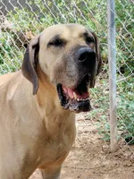 processed/b5363384-38d5-48f2-8b6f-9503981afe1f/listing/28f122e1-9ad7-40cb-940c-3c0bc3f410da/a7f96c8e-abb1-4c33-a434-1635098145e9