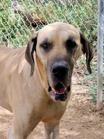 processed/b5363384-38d5-48f2-8b6f-9503981afe1f/listing/28f122e1-9ad7-40cb-940c-3c0bc3f410da/afe1cd29-f5d0-4796-8816-0436cbf66c5a