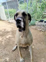 processed/b5363384-38d5-48f2-8b6f-9503981afe1f/listing/28f122e1-9ad7-40cb-940c-3c0bc3f410da/c122f635-4088-41b7-985d-90c4d7bb900f