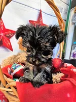 processed/b5363384-38d5-48f2-8b6f-9503981afe1f/listing/9e360f57-3fe7-4fc3-b7df-6243c5293d24/13cc8856-5186-4937-af5f-fa17b062cec3